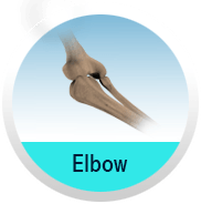 Elbow - Shoulder & Elbow Clinic